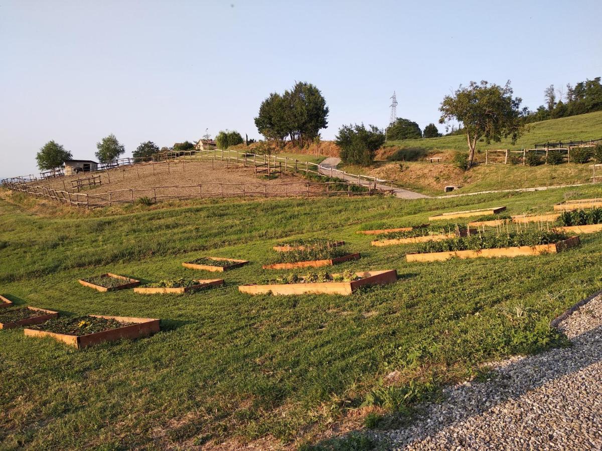 Tenuta I Musi Lunghi Lesignano de' Bagni Exterior foto