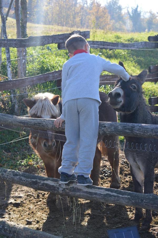 Tenuta I Musi Lunghi Lesignano de' Bagni Exterior foto