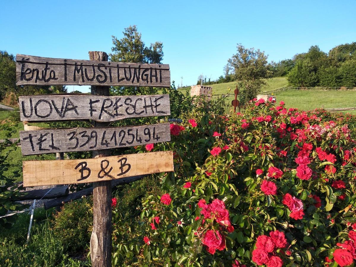 Tenuta I Musi Lunghi Lesignano de' Bagni Exterior foto